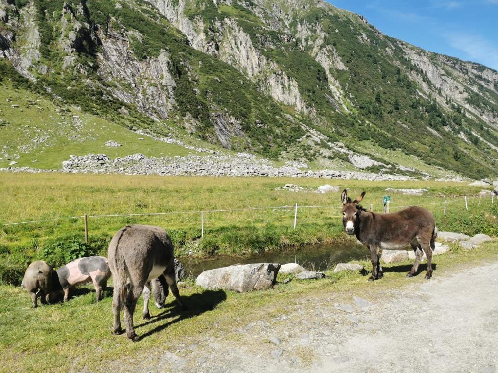 Zeit.Glück Appartements - 18
