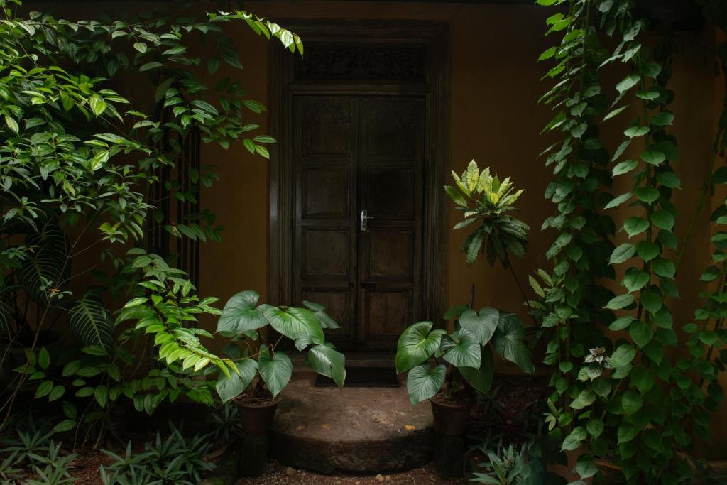 Zahrada ubytování Casa Heliconia