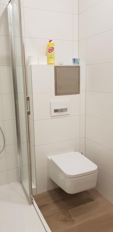 Koupelna v ubytování Apartmány pod Jeřábem, Šanov 67, Červená Voda