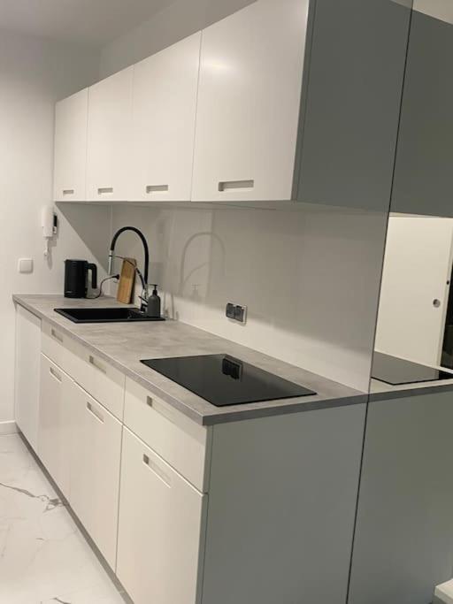 Kuchyň nebo kuchyňský kout v ubytování Mirror Apartment