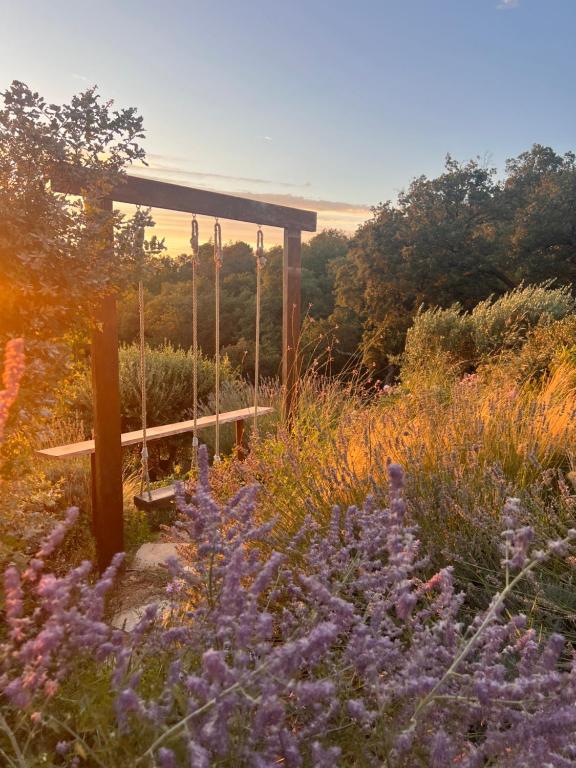 ラ・ガルド・フレネにあるLe Mouron Rougeの紫の花の庭園内のブランコ