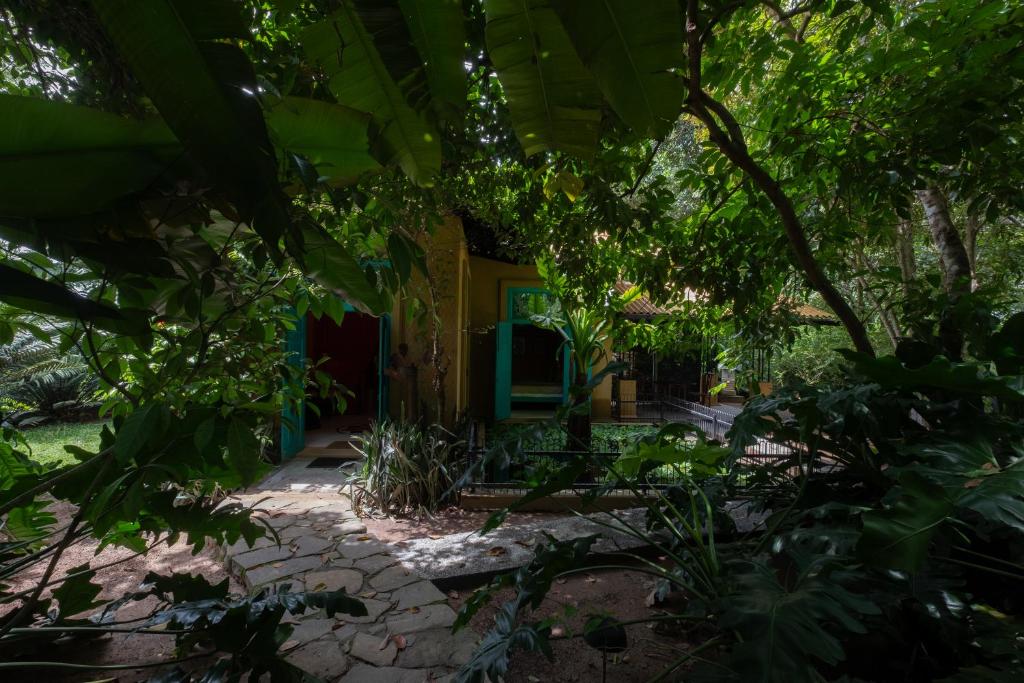 Zahrada ubytování Casa Heliconia