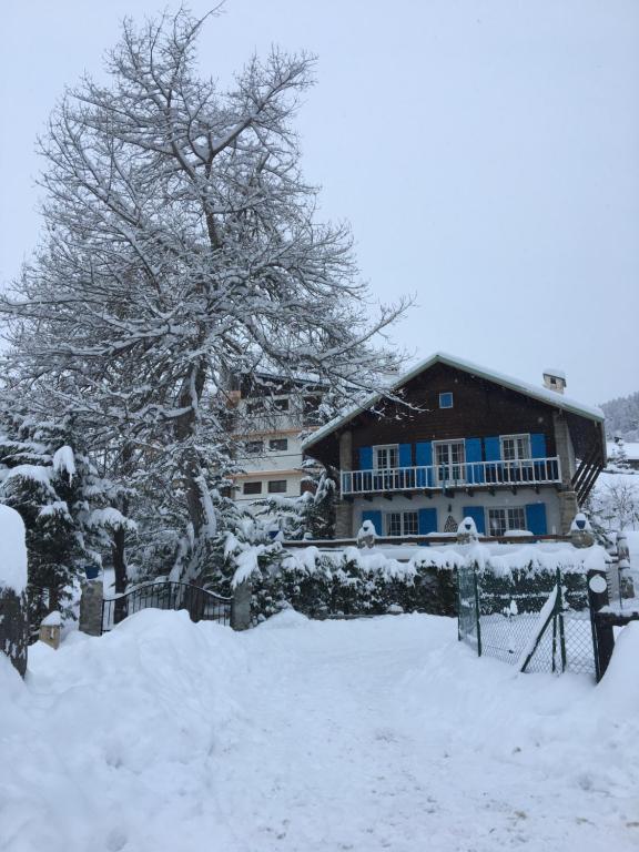 une maison recouverte de neige avec un arbre devant dans l'établissement Auron Chalet Casanova centre et pistes à pied, à Saint-Étienne-de-Tinée