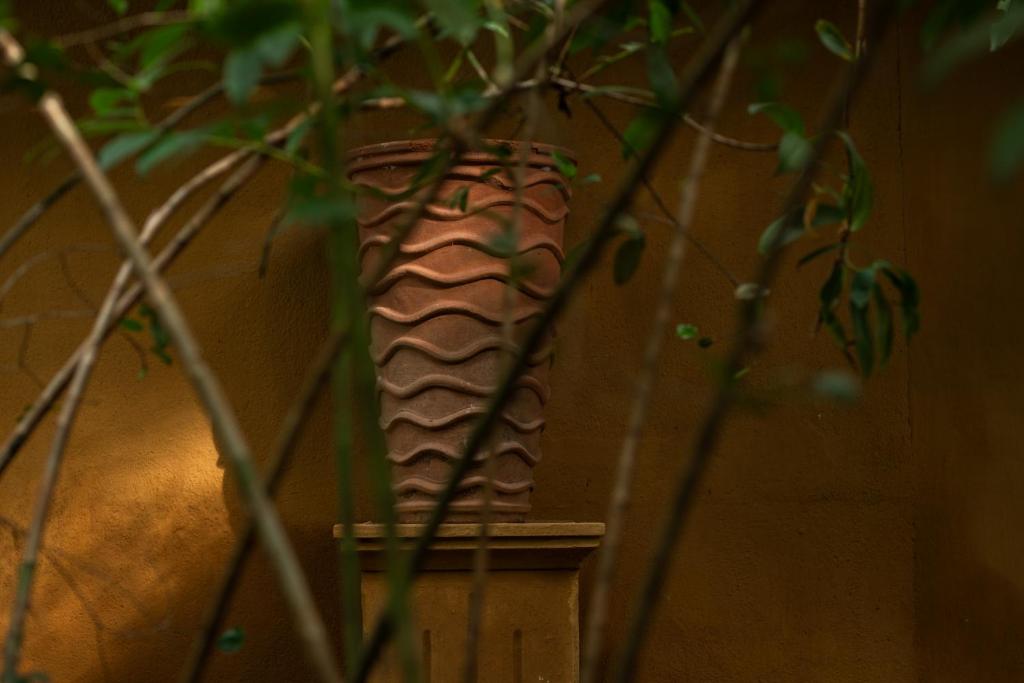 Fotografie z fotogalerie ubytování Casa Heliconia v destinaci Gampaha