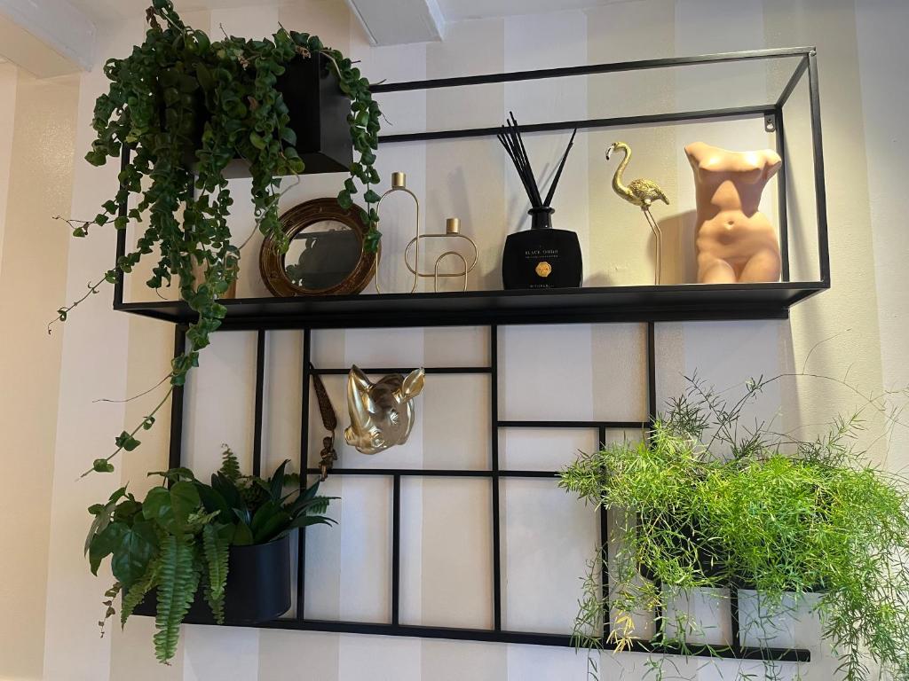 The Enlightened House Luxury Suites - Resim 22