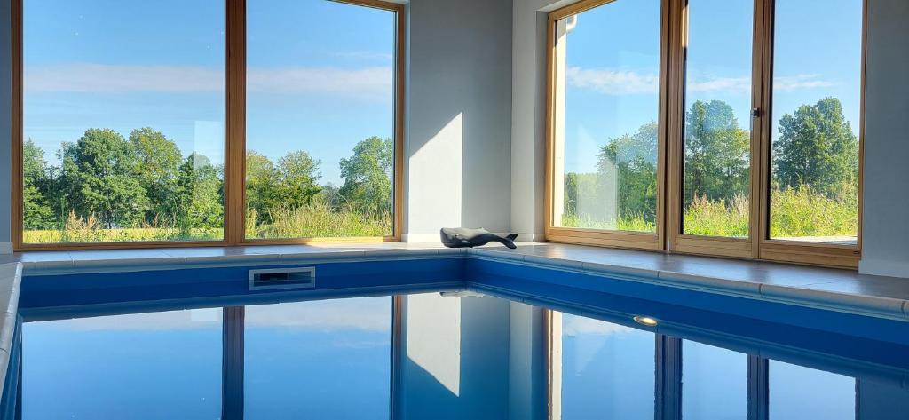 a room with a swimming pool with windows at Wilczy Zew Private Spa & Nature in Borne