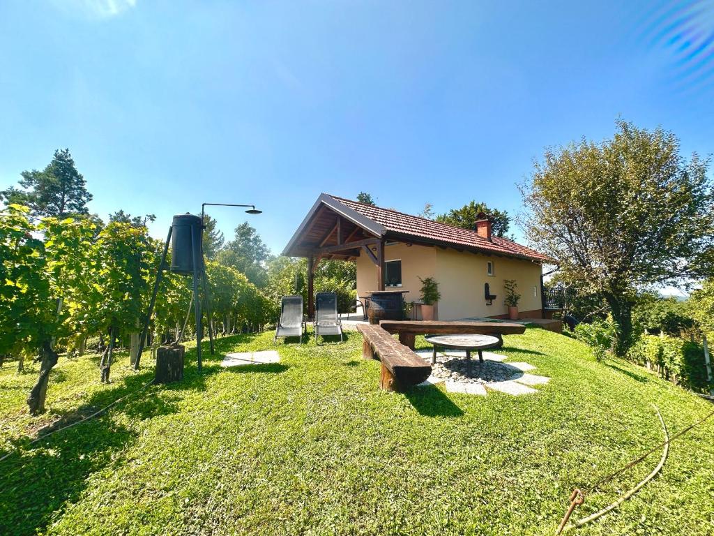Κήπος έξω από το Holiday House Tomajna