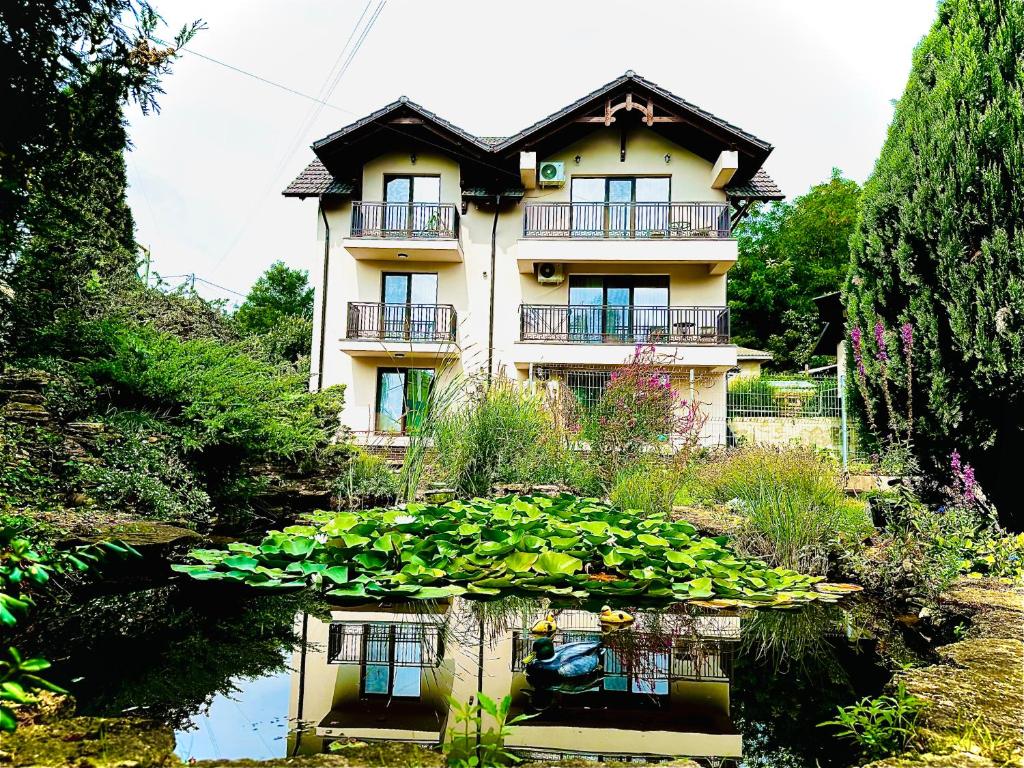 a house with a lot of plants in front of it at Casa cu nuferi in Chişinău