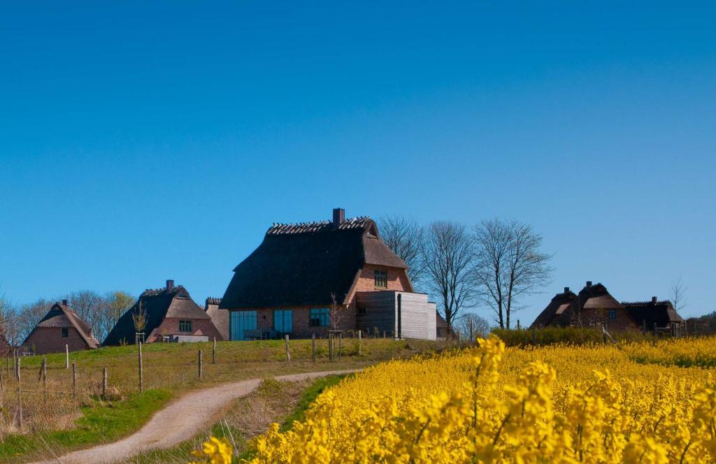 a farm with a house and a field of yellow flowers at Reetdorf Geltinger Birk Künstlerkate Lagune in Nieby