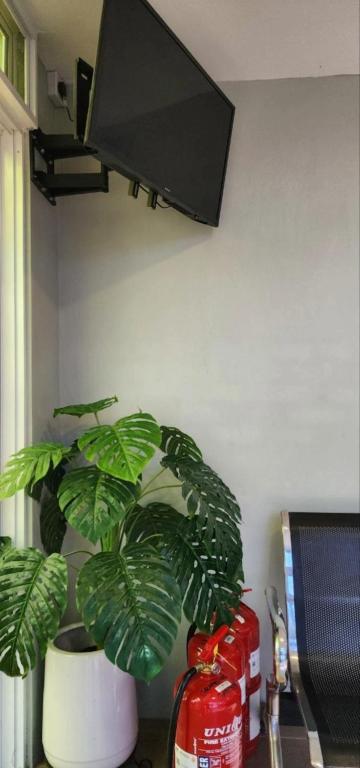 TV a/nebo společenská místnost v ubytování Grapevine Garden
