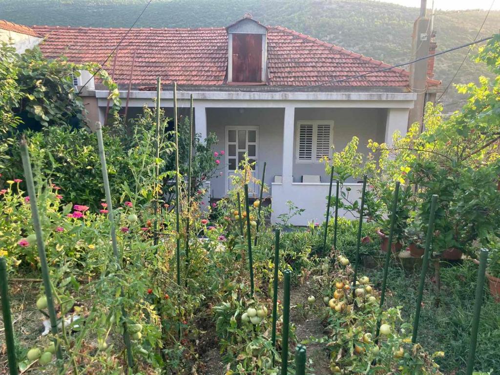 Vonkajšia záhrada v ubytovaní Marija Apartment
