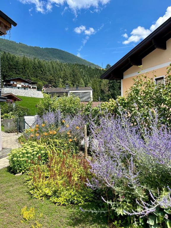 Nespecifikovaný výhled na hory nebo výhled na hory při pohledu z apartmánu