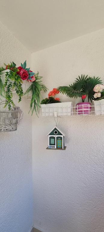 Fotografia z galérie ubytovania BabyLu apartman v destinácii Zadar