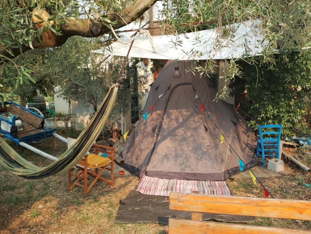 a tent and a hammock under a tree at ART CAMP in Néa Michanióna