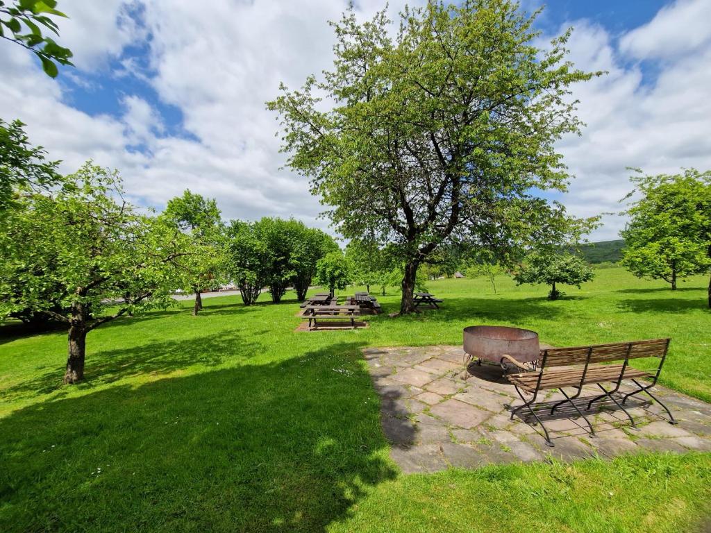 einen Park mit Bänken und Bäumen auf einem Feld in der Unterkunft Kötterhof in Bevern
