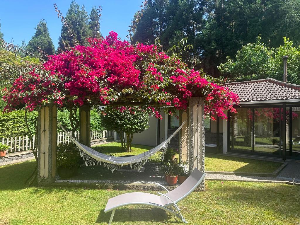 uma rede num quintal com flores cor-de-rosa e uma casa em Quiet Place em Machico