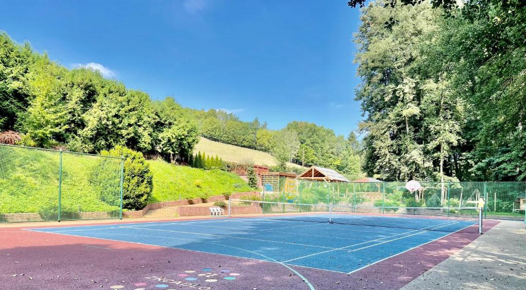 Tenis lub squash w obiekcie Penzion Kokorin Forest Villa lub w pobliżu