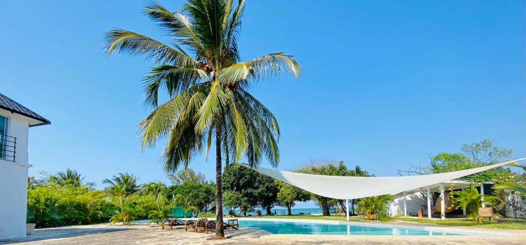 a hammock under a palm tree next to a swimming pool at Sonrisa Villas in Diani Beach