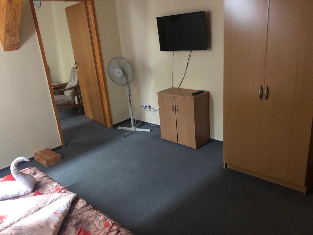 TV a/nebo společenská místnost v ubytování City Hotel Siófok