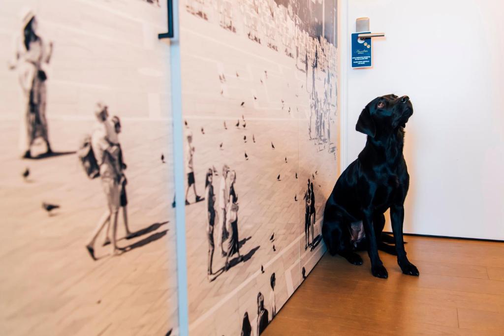 Hotel Stein - Adults Only - Resim 9