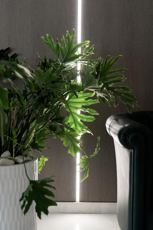 Hotel Palazzo Ognissanti - Resim 33