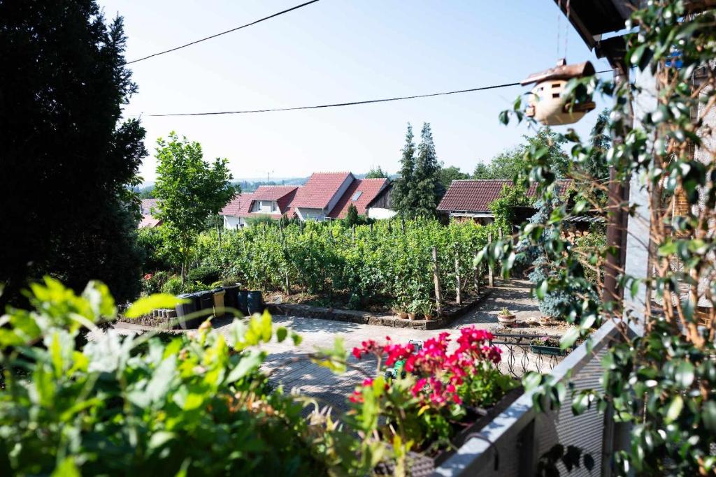 Zahrada ubytování Apartmán LUKA