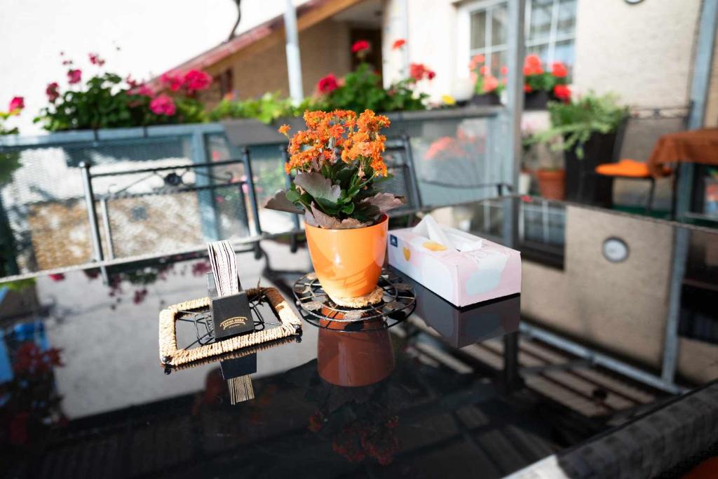 Balkón nebo terasa v ubytování Apartmán LUKA