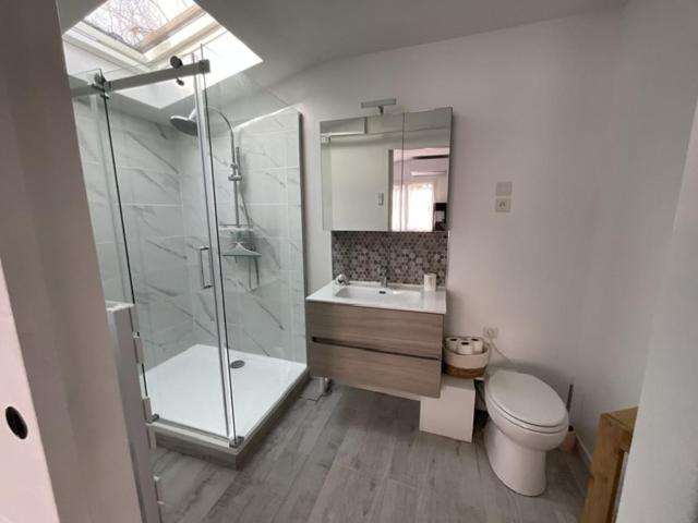 une salle de bain avec une douche, des toilettes et un lavabo dans l'établissement Maison sous les chênes, à Le Gua