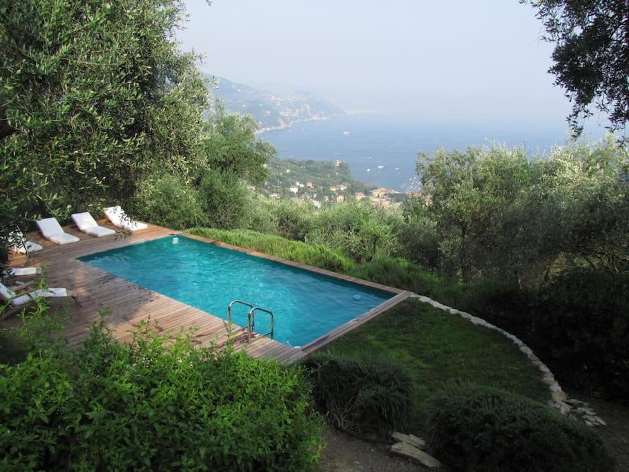 einen Pool in einem Garten mit Meerblick in der Unterkunft CHARMING APARTMENT VILLA WITH POOL 010-46-cav-0009 in Rapallo