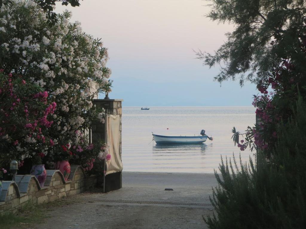 a man in a boat in the water at PLATANOFYLLA Studios & Apartments in Kala Nera