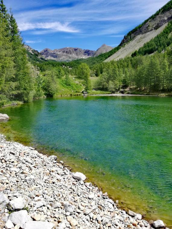 吉洛梅Chambre aux Gorges de Daluis的河里一个蓝色的绿色大池