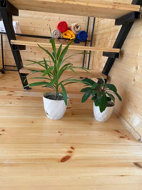 Fotografie z fotogalerie ubytování Cottage THORI Stephantsminda,Achkhoti v destinaci Stepancminda