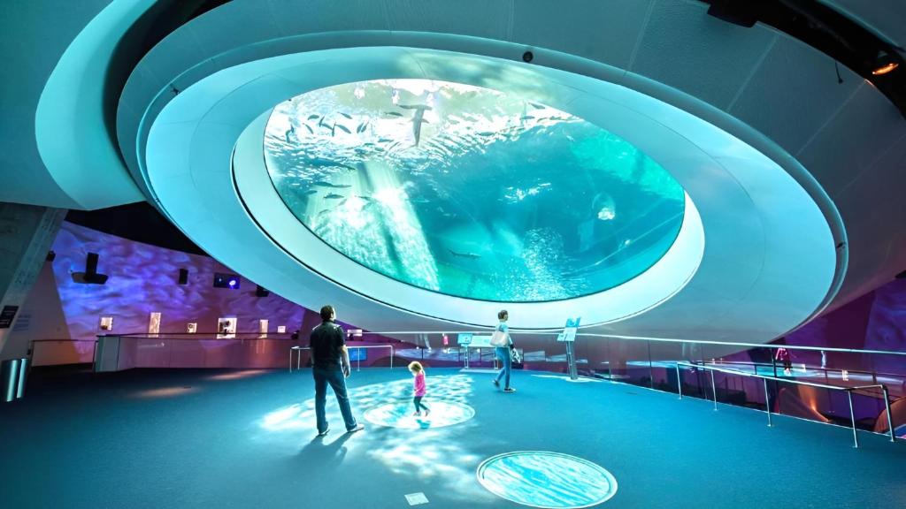 Hosté ubytování Chic Ocean Miami 88