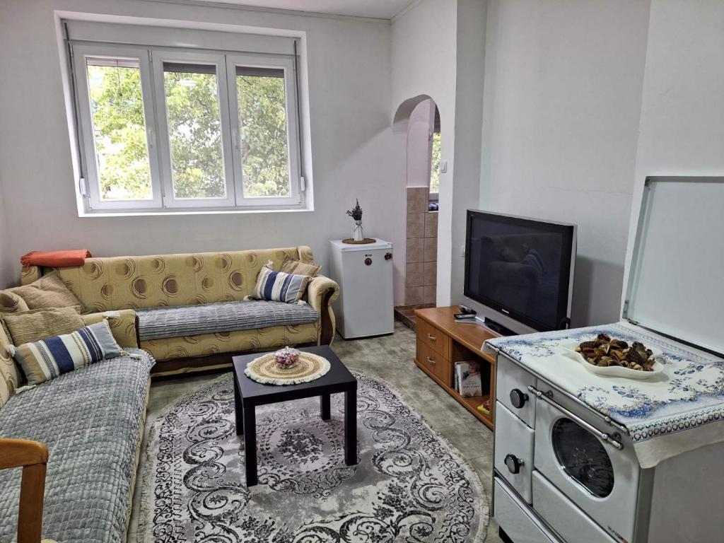 Gallery image of MK Apartment in Mojkovac