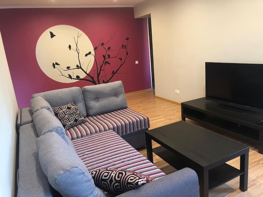 TV a/nebo společenská místnost v ubytování Moonlight apartment