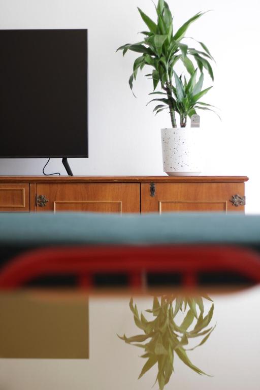 a living room with a tv and a potted plant at Santa Faustina Holy Apartment in Porto Ercole