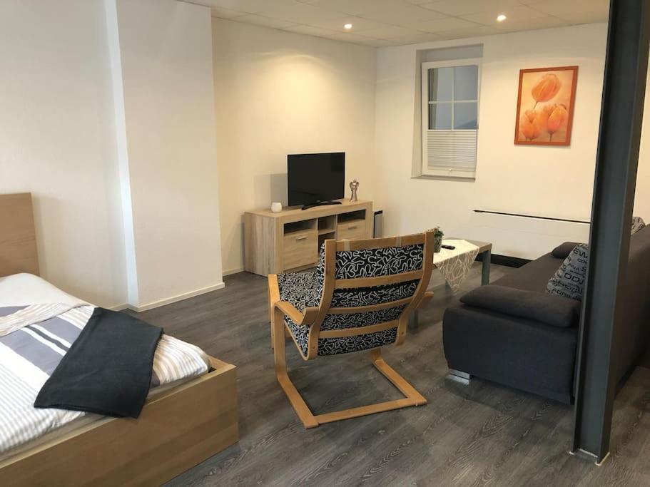TV a/nebo společenská místnost v ubytování Modernes 1-Zimmer-Apartment im Herzen Oberkochens
