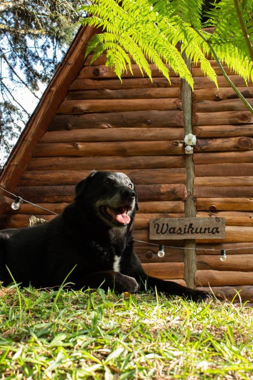 Kućni ljubimac ili ljubimci koji borave u objektu Glamping con jacuzzi cerca a Medellin