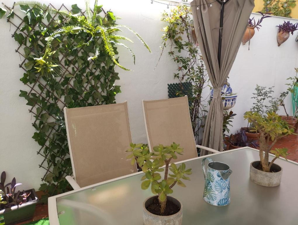 Patios con encanto - 2