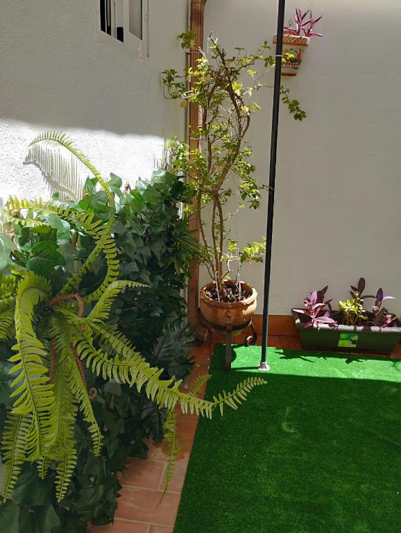 Patios con encanto - 8