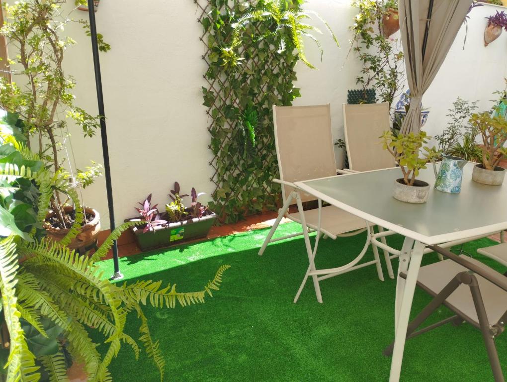 Patios con encanto - 4