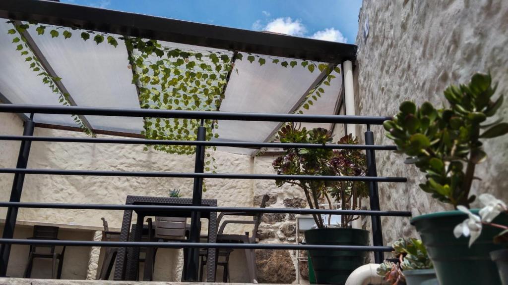 Balkón nebo terasa v ubytování Celaví Hostel