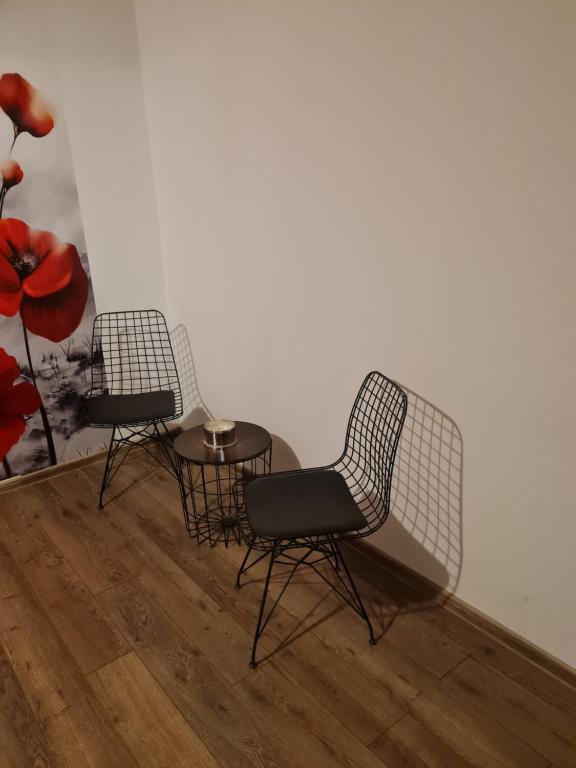 Posezení v ubytování Conacul Ancuței