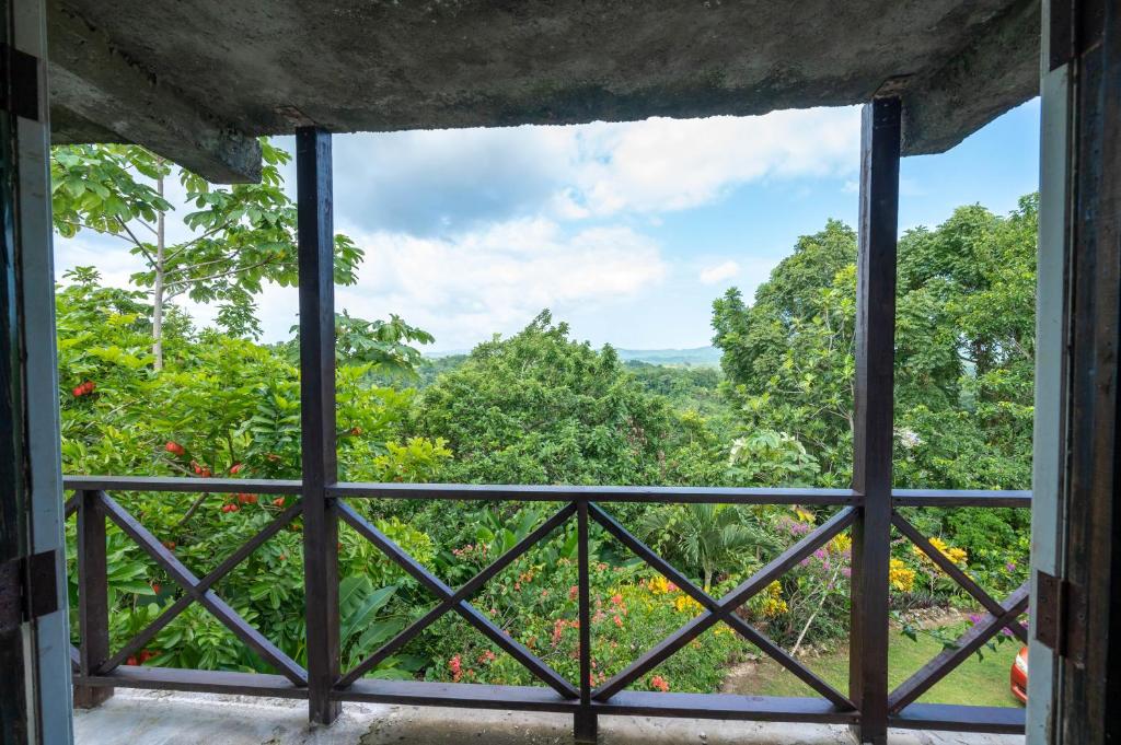 una ventana con vistas al bosque desde una plantación en Coyaba 1 Bedroom Unit - Embrace Tranquility in the Hanover Countryside, en Orange Bay