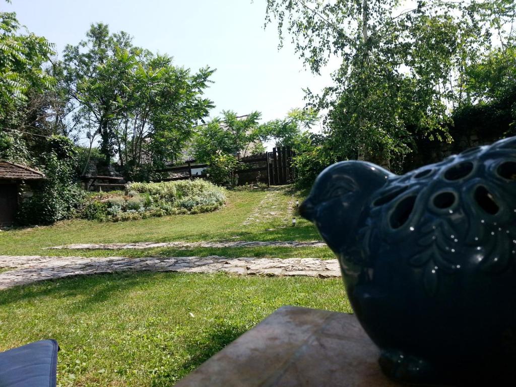 Zahrada ubytování Köveskál Panzió
