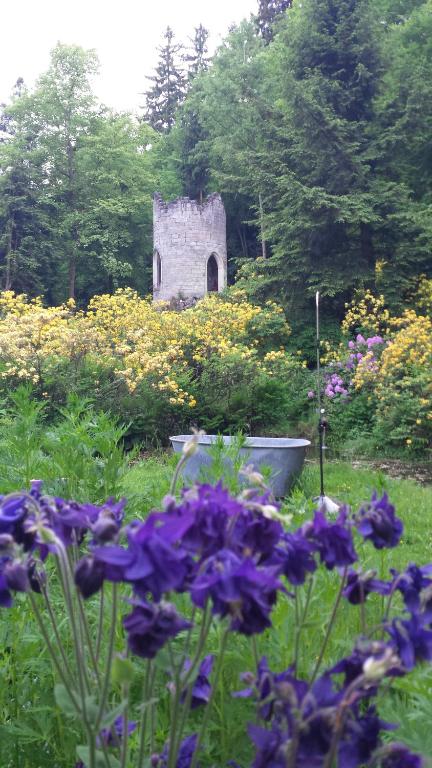 Zahrada ubytování Rapunzel trifft Dornröschen