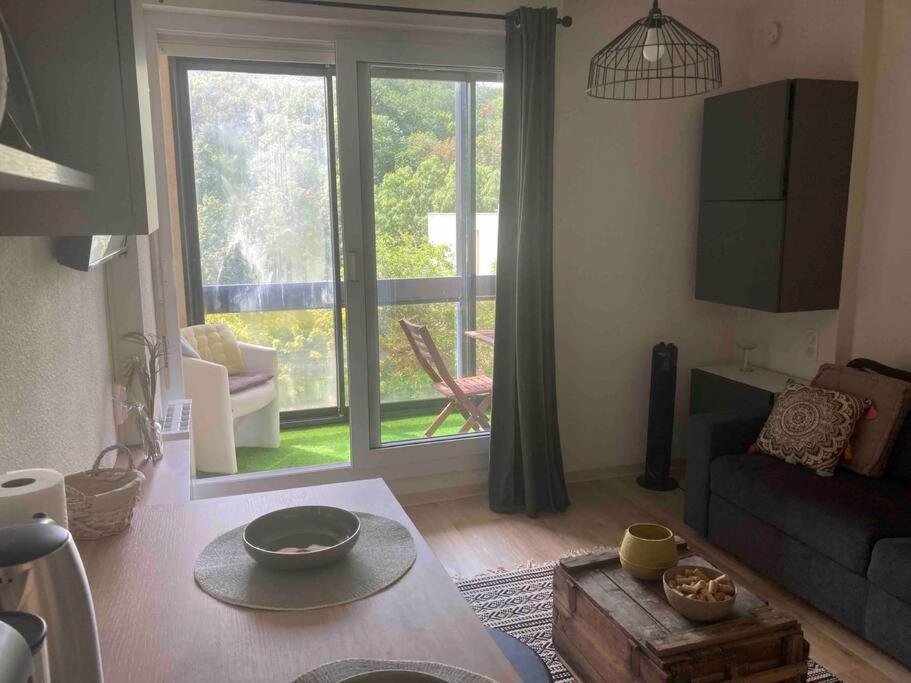 ein Wohnzimmer mit Couch und großem Fenster in der Unterkunft Studio au cœur de chatelguyon in Châtel-Guyon