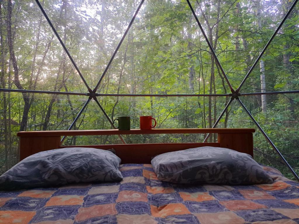 a bedroom with a bed in a glass tent at Forest Hut in Bigauņciems