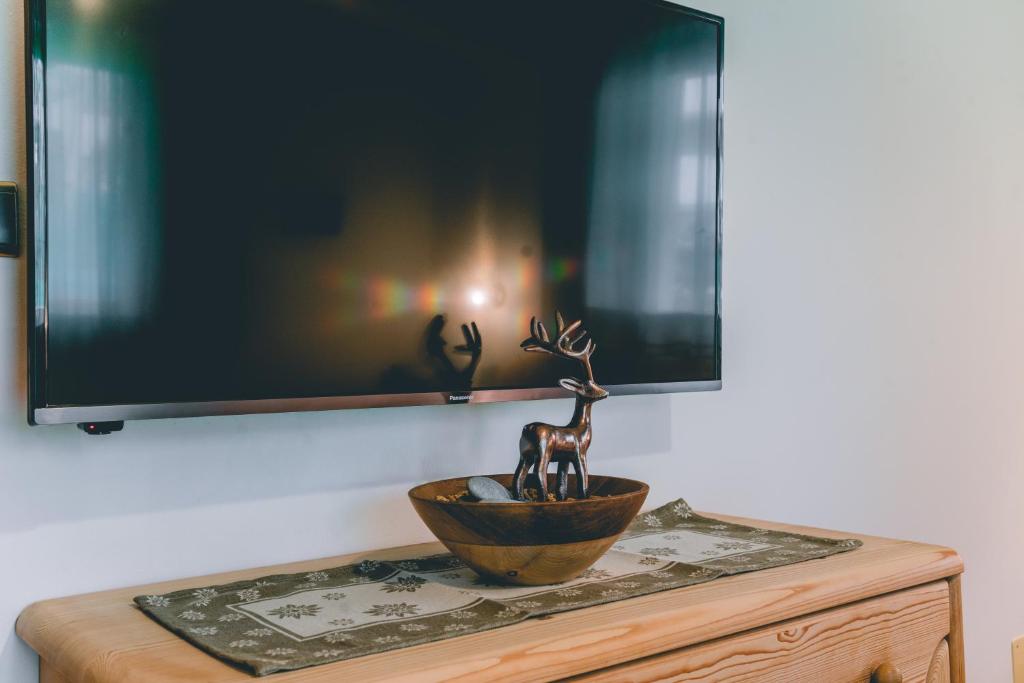 TV a/nebo společenská místnost v ubytování Garni Hotel Belalp