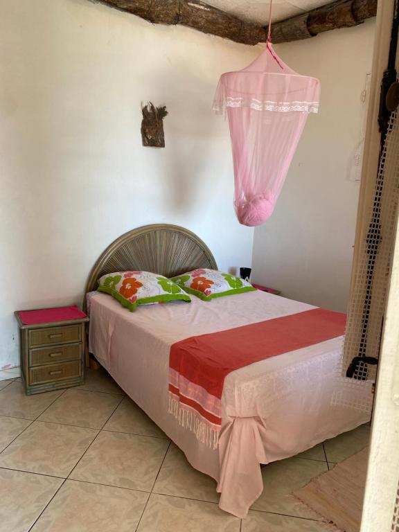 a bedroom with a bed with a pink curtain on it at La Porte Du Paradis in Fort-de-France